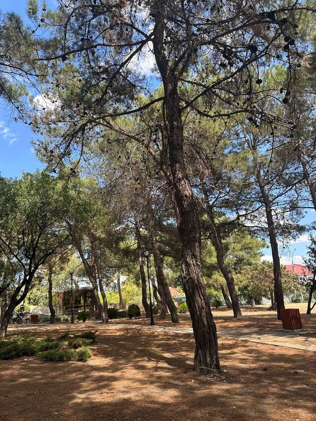 Гостиница Вилла Лагуна Геленджик-198