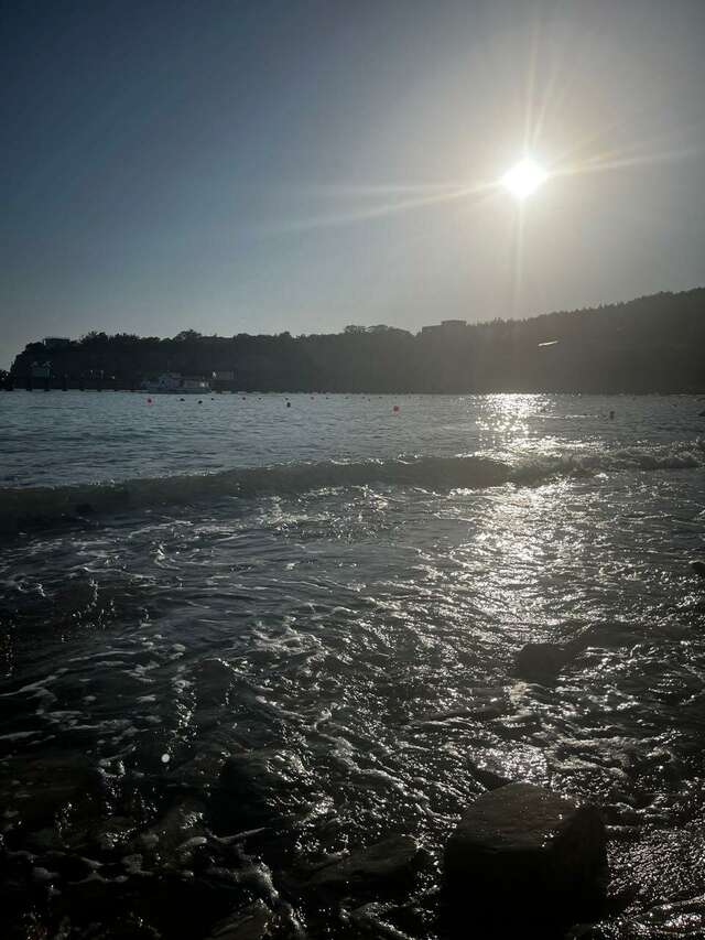 Гостиница Вилла Лагуна Геленджик-239